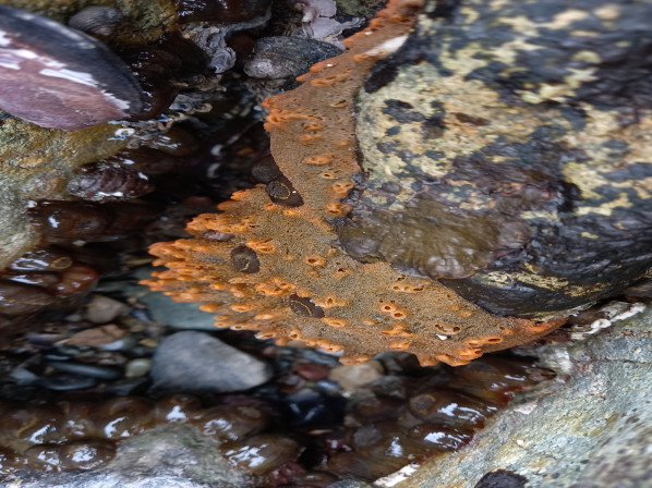 표면의 작은 구멍들